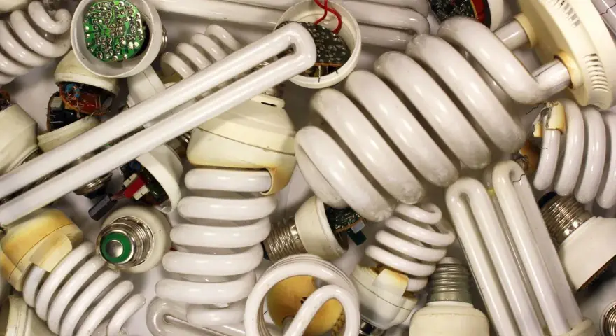 Stare żarówki energooszczędne i świetlówki. Zastanawiasz się, gdzie wyrzucić żarówki? Te zużyte wymagają specjalnej utylizacji.